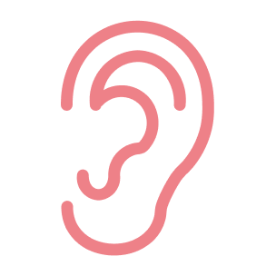 現地調査・ヒアリング