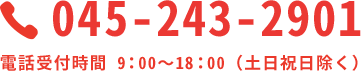 tel:045-243-2901
